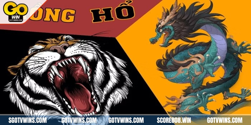 Cẩm nang chơi Rồng Hổ cho người mới