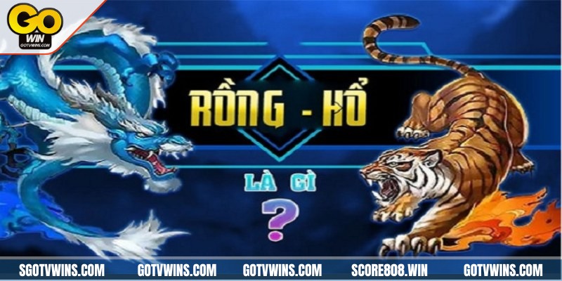 Nhà cái cung cấp kinh nghiệm rồng hổ cho người chơi mới 