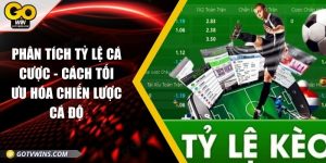 Phân tích tỷ lệ cá cược - Cách tối ưu hóa chiến lược cá độ