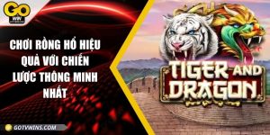 Chơi rồng hổ hiệu quả với chiến lược thông minh nhất