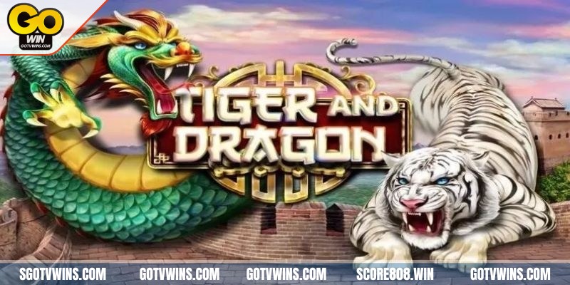 Giới thiệu hình thức giải trí rồng hổ online
